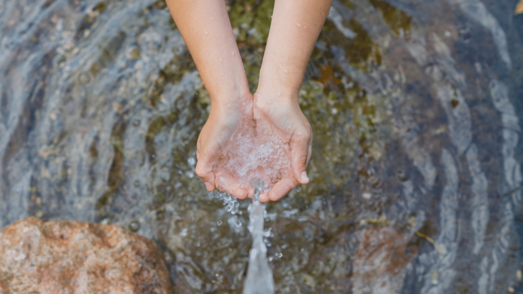 hands together to collect water