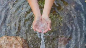 hands together to collect water