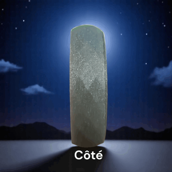 Pendentif Precious Life vu de profil – épaisseur visible